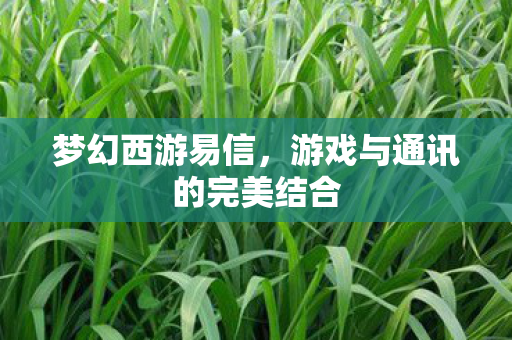 梦幻西游易信，游戏与通讯的完美结合