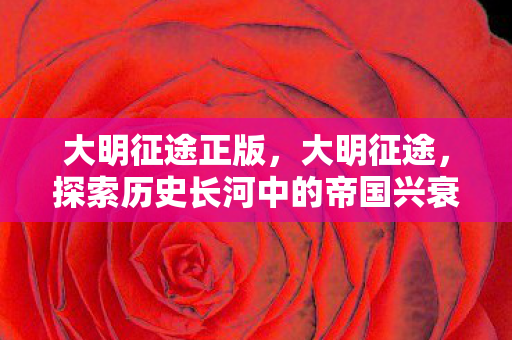 大明征途正版，大明征途，探索历史长河中的帝国兴衰