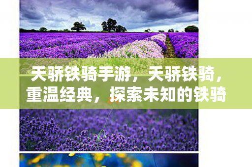 探索未知的铁骑之旅图片
