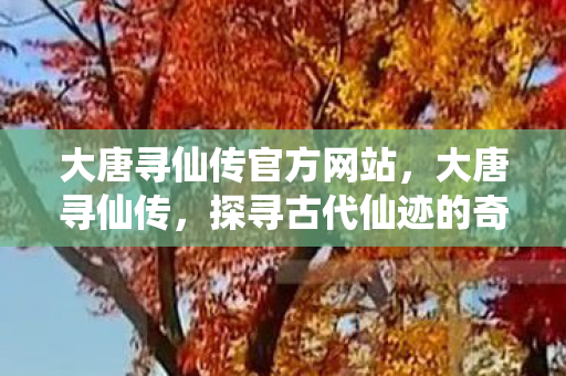 大唐寻仙传官方网站,大唐寻仙传,探寻古代仙迹的奇幻之旅 大唐寻仙传官方网站,大唐寻仙传,探寻古代仙迹的奇幻之旅