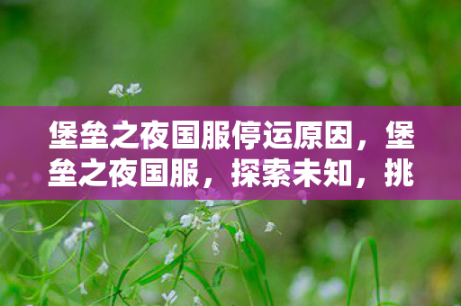 堡垒之夜国服停运原因,堡垒之夜国服,探索未知,挑战自我 堡垒之夜国服停运原因,堡垒之夜国服,探索未知,挑战自我