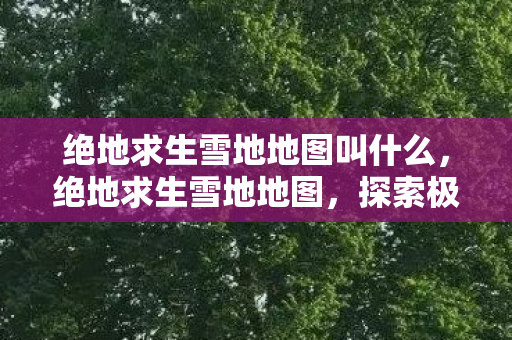 绝地求生雪地地图叫什么图片