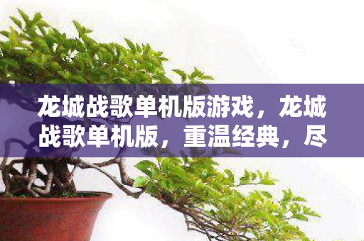 龙城战歌单机版游戏，龙城战歌单机版，重温经典，尽享单机乐趣