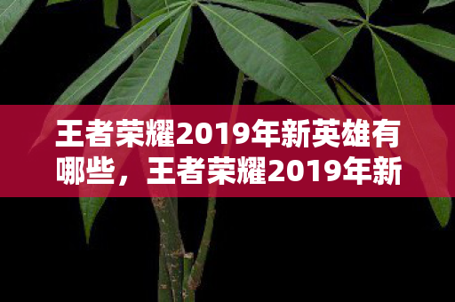 王者荣耀2019年新英雄有哪些,王者荣耀2019年新英雄,重塑战场格局的强者 王者荣耀2019年新英雄有哪些,王者荣耀2019年新英雄,重塑战场格局的强者