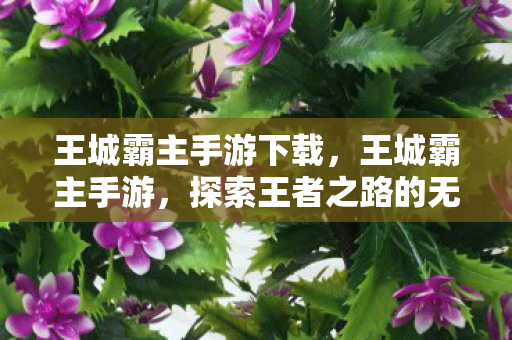 王城霸主手游下载，王城霸主手游，探索王者之路的无限可能