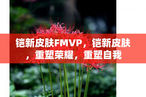 铠新皮肤FMVP图片