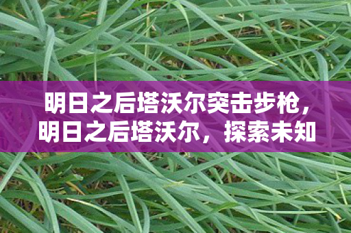 明日之后塔沃尔突击步枪,明日之后塔沃尔,探索未知世界的生存之旅 明日之后塔沃尔突击步枪,明日之后塔沃尔,探索未知世界的生存之旅