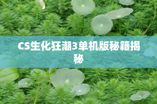 CS生化狂潮3单机版秘籍揭秘 CS生化狂潮3单机版秘籍揭秘