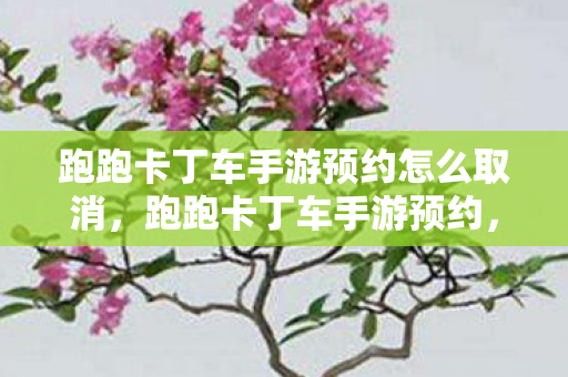 跑跑卡丁车手游预约怎么取消图片