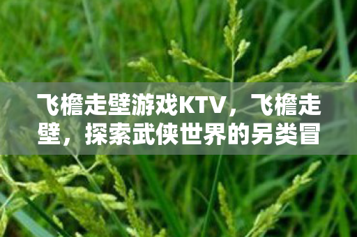 飞檐走壁游戏KTV,飞檐走壁,探索武侠世界的另类冒险 飞檐走壁游戏KTV,飞檐走壁,探索武侠世界的另类冒险