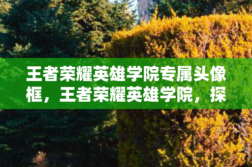 王者荣耀英雄学院专属头像框，王者荣耀英雄学院，探索英雄背后的故事与技能深度解析