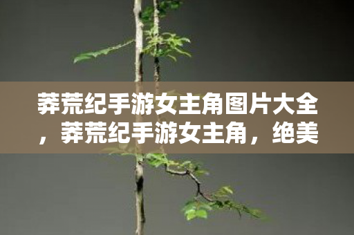 莽荒纪手游女主角图片大全,莽荒纪手游女主角,绝美角色,引人入胜 莽荒纪手游女主角图片大全,莽荒纪手游女主角,绝美角色,引人入胜