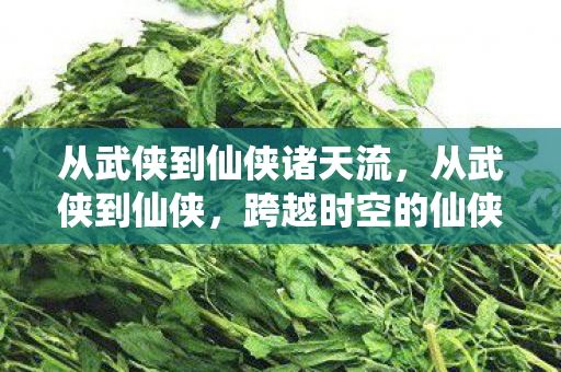 从武侠到仙侠诸天流图片