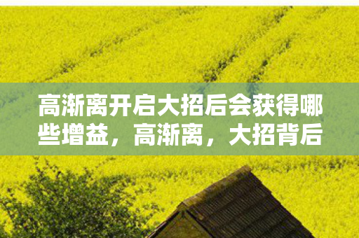 大招背后的奥秘与游戏策略的深度解析图片