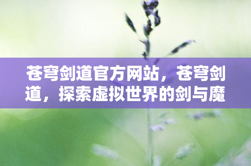 苍穹剑道官方网站，苍穹剑道，探索虚拟世界的剑与魔法