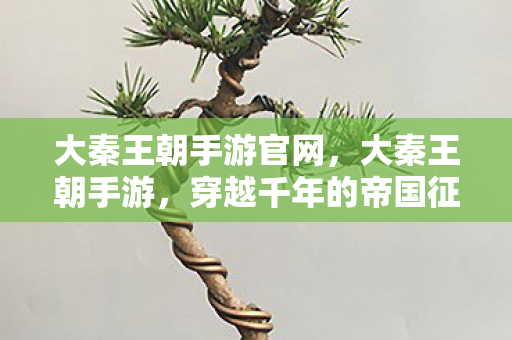 大秦王朝手游官网，大秦王朝手游，穿越千年的帝国征途