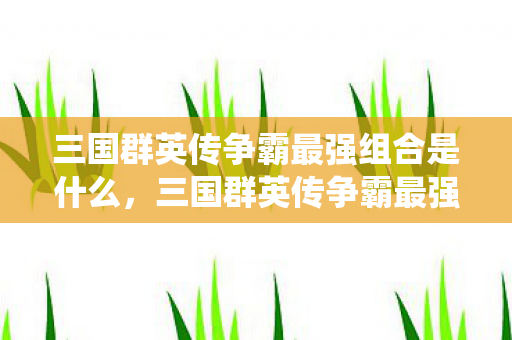 三国群英传争霸最强组合是什么图片