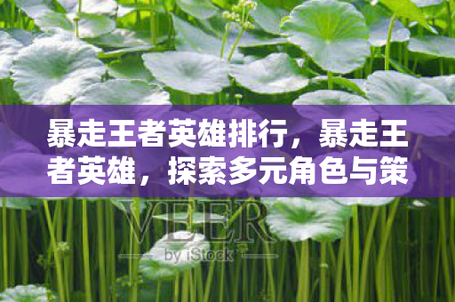 暴走王者英雄排行,暴走王者英雄,探索多元角色与策略战斗的魅力 暴走王者英雄排行,暴走王者英雄,探索多元角色与策略战斗的魅力