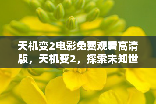 天机变2电影免费观看高清版,天机变2,探索未知世界的奇幻之旅 天机变2电影免费观看高清版,天机变2,探索未知世界的奇幻之旅