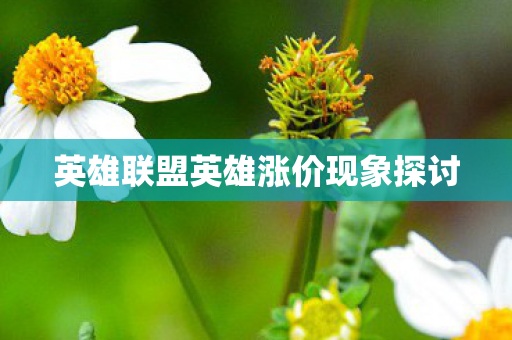 英雄联盟英雄涨价现象探讨 英雄联盟英雄涨价现象探讨