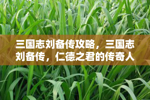 仁德之君的传奇人生图片