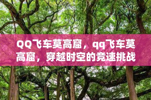 穿越时空的竞速挑战图片