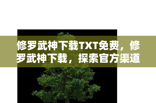 修罗武神下载TXT免费，修罗武神下载，探索官方渠道的便捷与乐趣