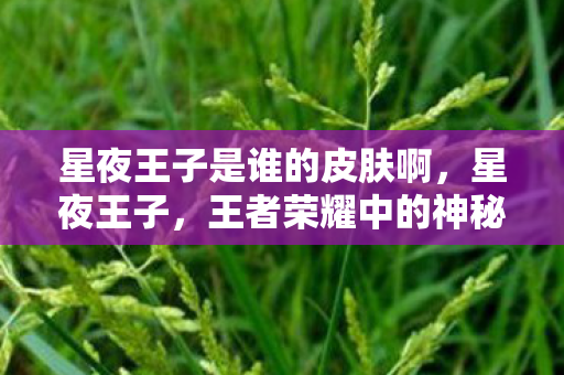 星夜王子是谁的皮肤啊图片