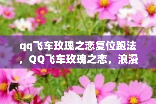 qq飞车玫瑰之恋复位跑法图片