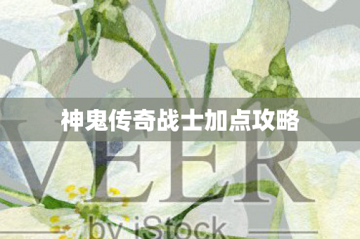 神鬼传奇战士加点攻略 神鬼传奇战士加点攻略