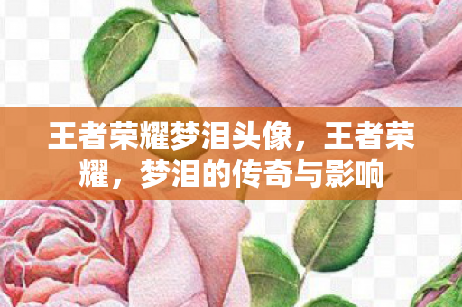 王者荣耀梦泪头像,王者荣耀,梦泪的传奇与影响 王者荣耀梦泪头像,王者荣耀,梦泪的传奇与影响