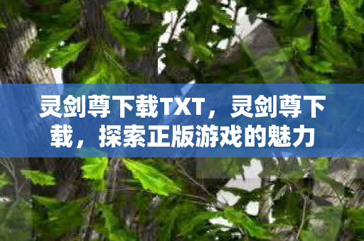 灵剑尊下载TXT,灵剑尊下载,探索正版游戏的魅力 灵剑尊下载TXT,灵剑尊下载,探索正版游戏的魅力