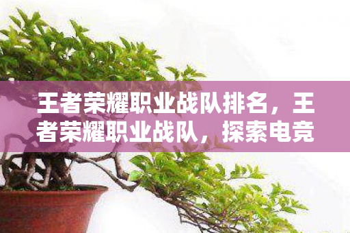 王者荣耀职业战队排名，王者荣耀职业战队，探索电竞背后的专业与激情