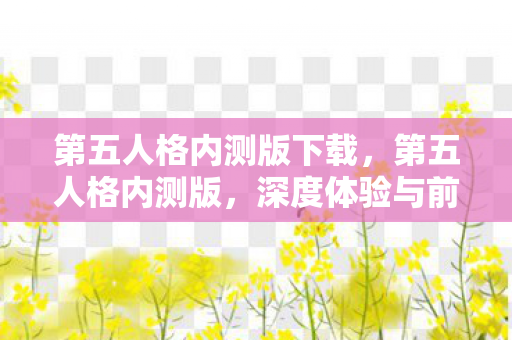 第五人格内测版下载，第五人格内测版，深度体验与前瞻解析