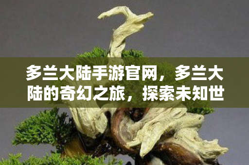 探索未知世界的奇妙冒险图片