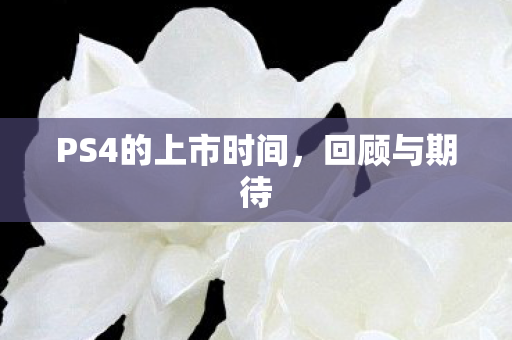 PS4的上市时间,回顾与期待 PS4的上市时间,回顾与期待
