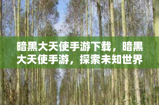 暗黑大天使手游下载，暗黑大天使手游，探索未知世界的奇幻之旅