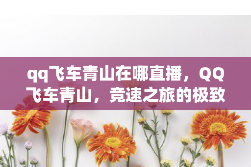 qq飞车青山在哪直播,QQ飞车青山,竞速之旅的极致追求 qq飞车青山在哪直播,QQ飞车青山,竞速之旅的极致追求