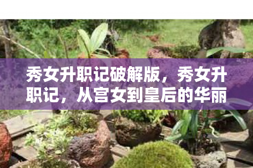 秀女升职记破解版，秀女升职记，从宫女到皇后的华丽蜕变