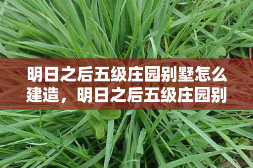 明日之后五级庄园别墅怎么建造，明日之后五级庄园别墅，打造梦幻家园的终极指南