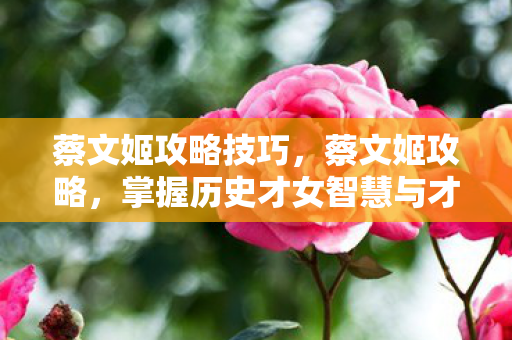 蔡文姬攻略技巧，蔡文姬攻略，掌握历史才女智慧与才艺的全方位指南