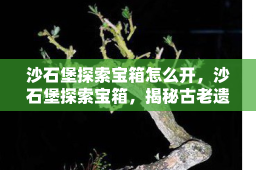 沙石堡探索宝箱怎么开,沙石堡探索宝箱,揭秘古老遗迹中的神秘宝藏 沙石堡探索宝箱怎么开,沙石堡探索宝箱,揭秘古老遗迹中的神秘宝藏
