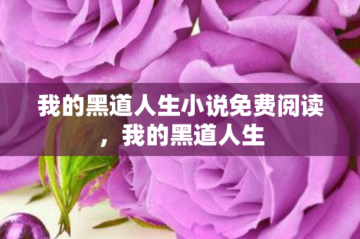 我的黑道人生小说免费阅读，我的黑道人生