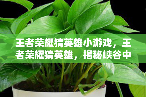 王者荣耀猜英雄小游戏,王者荣耀猜英雄,揭秘峡谷中的神秘角色 王者荣耀猜英雄小游戏,王者荣耀猜英雄,揭秘峡谷中的神秘角色