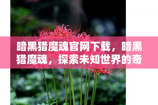 暗黑猎魔魂官网下载，暗黑猎魔魂，探索未知世界的奇幻之旅