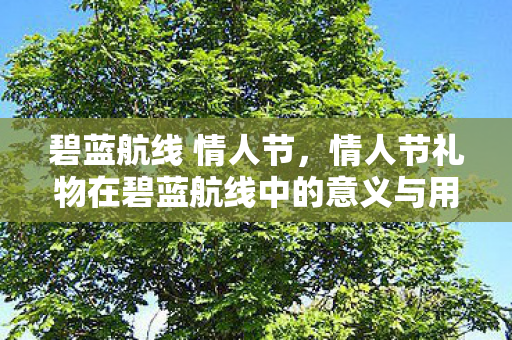 碧蓝航线 情人节,情人节礼物在碧蓝航线中的意义与用途 碧蓝航线 情人节,情人节礼物在碧蓝航线中的意义与用途