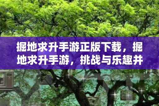 掘地求升手游正版下载,掘地求升手游,挑战与乐趣并存的移动冒险之旅 掘地求升手游正版下载,掘地求升手游,挑战与乐趣并存的移动冒险之旅