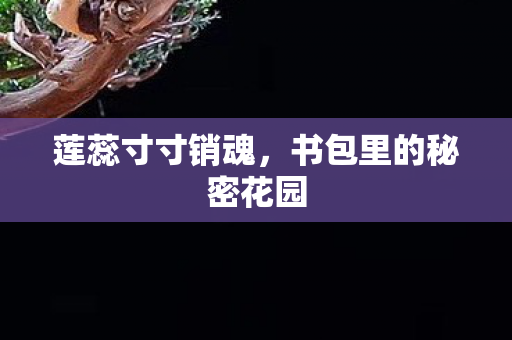 莲蕊寸寸销魂,书包里的秘密花园 莲蕊寸寸销魂,书包里的秘密花园