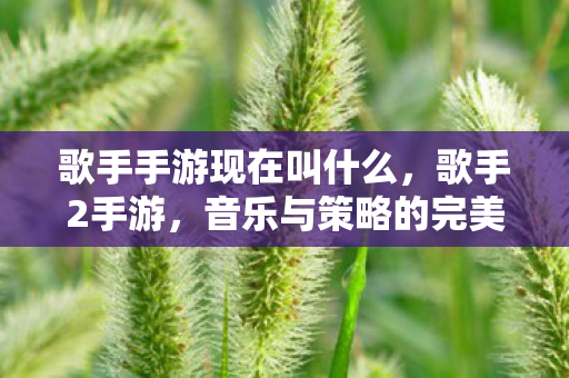 歌手手游现在叫什么,歌手2手游,音乐与策略的完美融合 歌手手游现在叫什么,歌手2手游,音乐与策略的完美融合