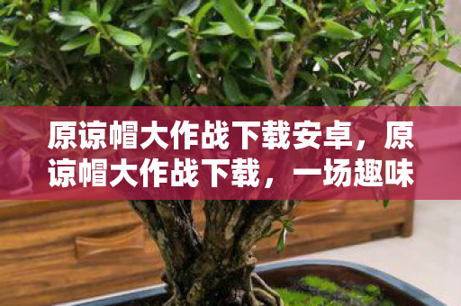 原谅帽大作战下载安卓,原谅帽大作战下载,一场趣味横生的冒险之旅 原谅帽大作战下载安卓,原谅帽大作战下载,一场趣味横生的冒险之旅